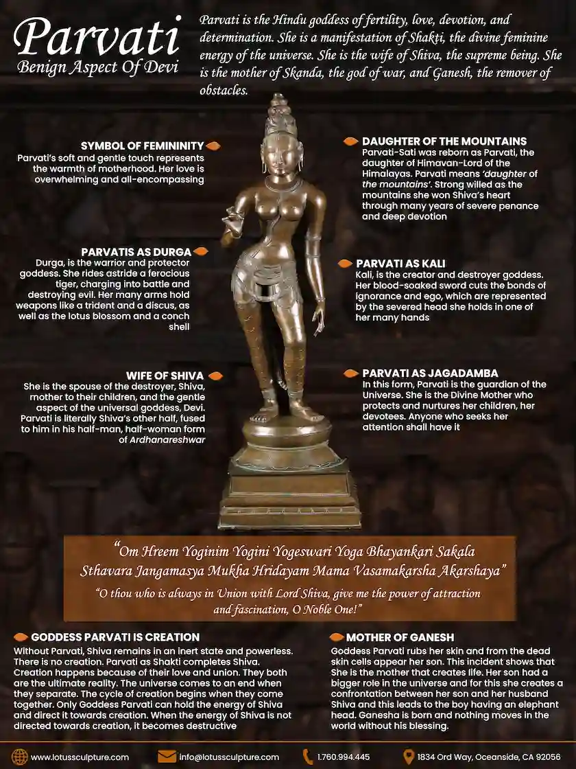 Parvati Symbolism Infographic